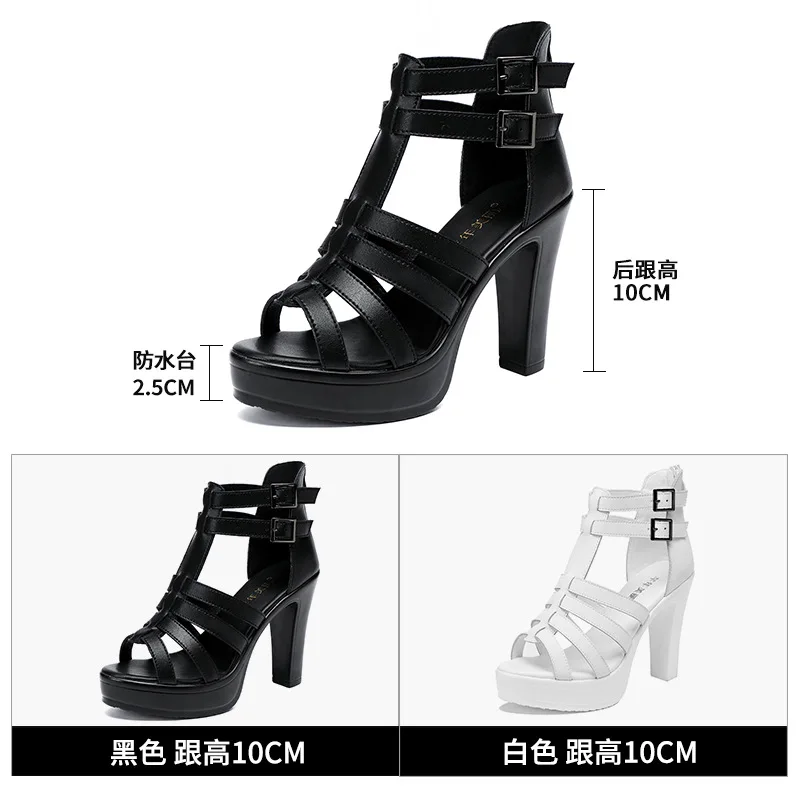 Gladiator Ladies Shoe for Wome - Summer Clothing Dress บทวิจารณ์และราคา